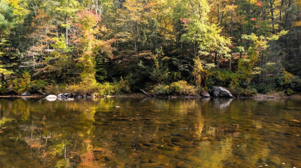 Autumn trees reflected in the Farmington River.